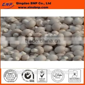 BNP Sells Dried Agaricus Blazei Murill Mushroom thumbnail-1