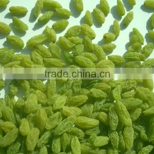 BEST QUALITY GREEN RAISIN FOR BEST RATE thumbnail-4