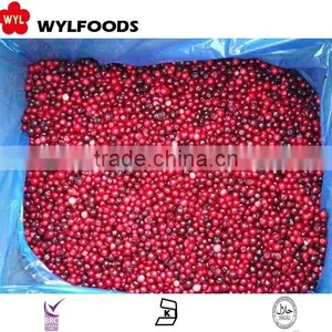 IQF China Price for Frozen Linggonberry Hot Sales thumbnail-2