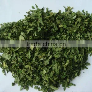 Supply Deydrated Celery Leacves 2012 New thumbnail-1