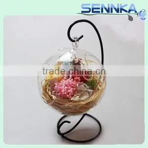 Customized Valentine' s Gift Preserved Rose Flower In Glass With Unique Preserved Flower Rose Head thumbnail-6