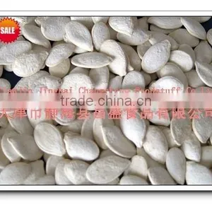 Roasted and Salted Pumpkin Seed (11cm,12cm,13cm) thumbnail-4
