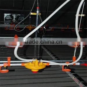 Chicken Broiler Raising Equipment thumbnail-4