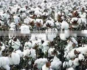 WTseries Rag Tearing Machine,textile Tearing Machine,textile Waste Recycling Machine thumbnail-5
