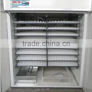Full Automatic Ostrich Egg Hatching Machine Factory Directly Hatching Machine for Sale thumbnail-1