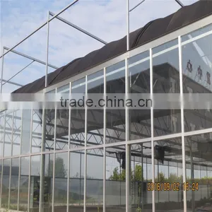 Cheap Vegetables Tunnel Greenhouse thumbnail-1