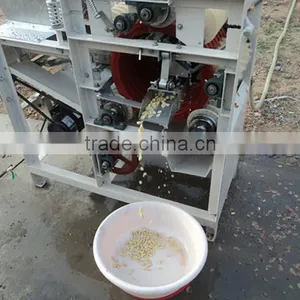 Wet Type Almonds Peeling Machine Peeler thumbnail-2