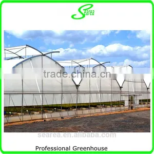 Multispan Tunnel Greenhouse for Strawberry Grape Raspberry , Agricultural Green Houses thumbnail-4