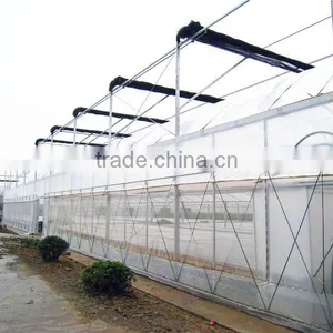 Low Price Hot Galvanized Steel Structure Multi Span Greenhouse thumbnail-1