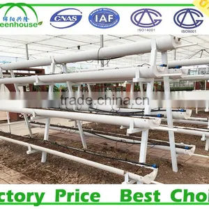 Hydroponic Systems Greenhouse for Agriculture thumbnail-5