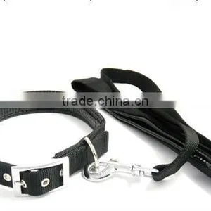 Dog Leash and Collar thumbnail-1