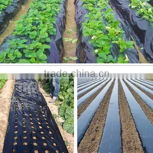 Agricultural Plastic Black Builders Mulch Film for Weed Control thumbnail-4