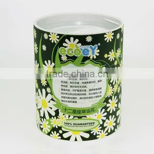 Fashion Twelve Constellations Lucky Flower Potted Plant -Little Daisy thumbnail-1