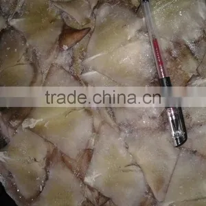 Frozen Gaint Sqiud Wing thumbnail-2