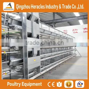 Heracles Factory Price Poultry Equipment Automatic Layer Chicken Egg Cages thumbnail-4
