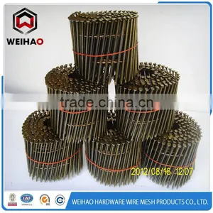 Galvanized Wire Coil Nails Iron Nail Steel Nail Roofing Nail thumbnail-1