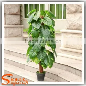 Factory Wholesale uv Artificial Outdoor Plants thumbnail-6