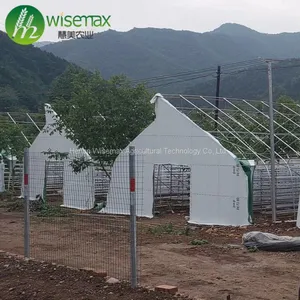 Hot Slae Agricultural Polythene Film Covered Mushroom Green House thumbnail-2
