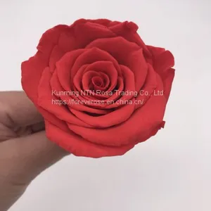 Preserved Flowers Wedding Bridal Bouquets Natural Eternal Roses thumbnail-4