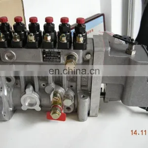 Fuel Injection Pump 4941012 for DCEC 6CT8.3 Genset Engine thumbnail-1