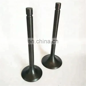 Truck Diesel Spare Parts Intake Exhaust Engine Valve for SCANIA DS9 DS9T DS11 DS13 DS14 1319081 391608 thumbnail-2