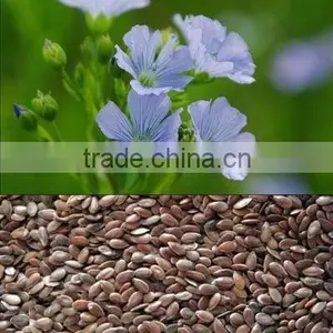 Flaxseed thumbnail-1