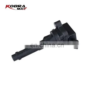9008019018 Professional Engine Spare Parts Car Ignition Coil FOR LAND ROVER Ignition Coil thumbnail-1