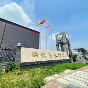 Wuhan Dasion Commerce & International Trading Co., Ltd. company overview - view 1 thumbnail