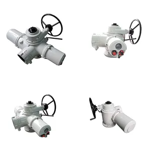 Connection Size Custom Multi-Turn 360 Degree Electric Actuator thumbnail-1