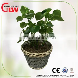 Home Garden Plant Pots, Flower Pots thumbnail-2