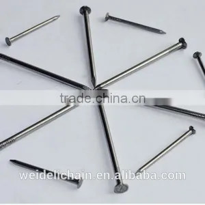 Galvanized Concrete Nail/Common Wire Nail / Roofing Nails thumbnail-4