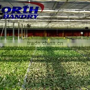 7090/6090/5090 Best-selling Evaporative Cooler Pad/ Evaporative Cooling Pad for Air Cooler or Poultry Farm thumbnail-5