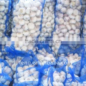 Chinese Garlic thumbnail-1