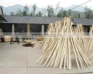Anji Sunbelt Bamboo & Wood Products Factory company overview - view 3 thumbnail