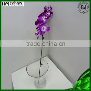Dried Flowers Preserved Orchids Preserved Flowers thumbnail-2