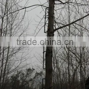 Purchase Aluminum High Quality Light Tree Climber thumbnail-1
