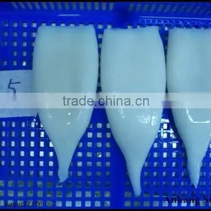 Illex Frozen Squid Tube IQF Factory thumbnail-5