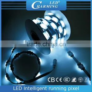 Flexible Outdoor Building Decorative Led Intelligent Running Pixel Light thumbnail-3