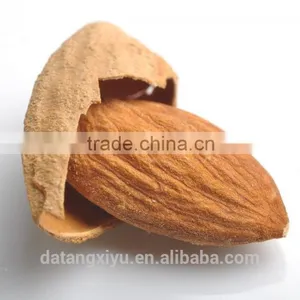 Chinese Badam Almond in Shell With QS Standard thumbnail-5