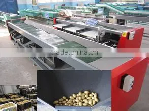 Apple Grading Machine thumbnail-4