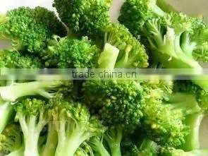 Frozen Broccoli Florets High Quality Green and Healthy thumbnail-2