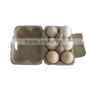 Egg Box Carton Machine Egg Box Machine Paper Tray Best thumbnail-2