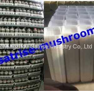 Hot Sale Safe PP Compartment Disposable Frozen Mushroom Trays thumbnail-1