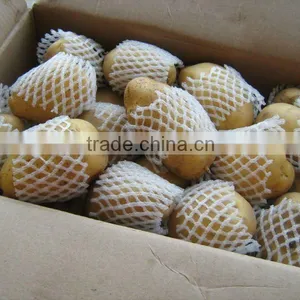 Fresh Potato Price 2012 thumbnail-1