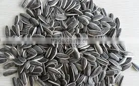 Organic Sunflower Seeds in Shell Chinese Confectionery Sunflower Seeds thumbnail-2
