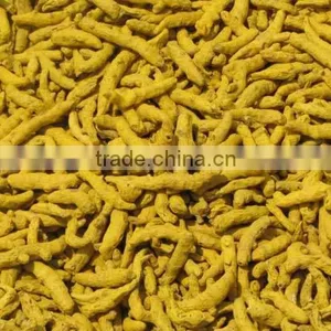Exporters of Dried Turmeric/Turmeric Curcumin thumbnail-2
