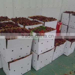 2015 Paprika Box Best Grade Paprika Pods thumbnail-1