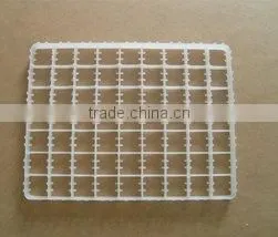 Eggs Tray for Advanced Completely Automatic Incubator thumbnail-1