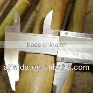 Bamboo Fishing Rod thumbnail-1