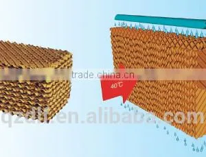 DLF Industrail Water Cooling Pad From China thumbnail-3